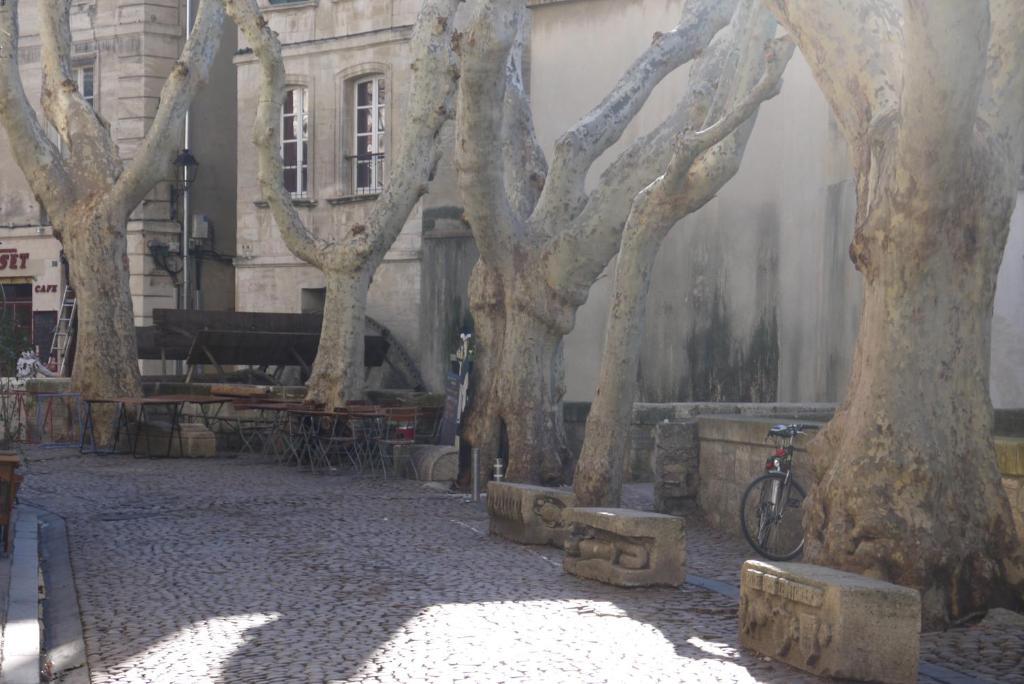 Appartements Des Teinturiers Avignon Bagian luar foto